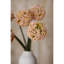 Anastasija Arrangement-795354017-795354019