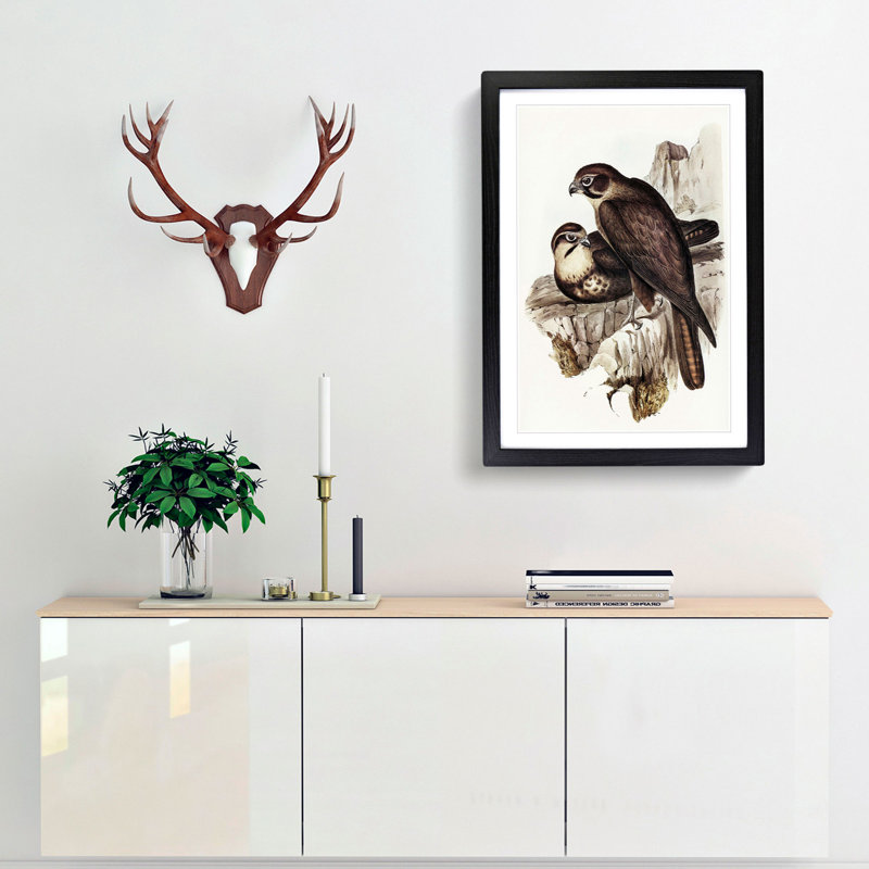 Brown Hawks by Elizabeth Gould - Picture Frame Painting Print, 65cm H x 48cm W x 2cm D, Black Framed