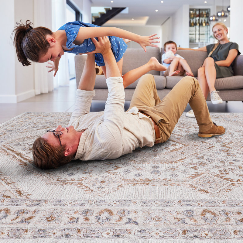 Cream/Ivory/Bordered Non-Shedding Living Room Bedroom Dining Home Office Stylish And Stain Resistant Area Rug
