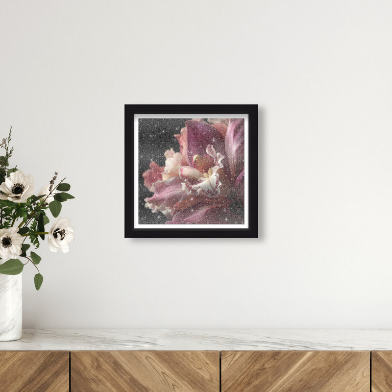Velvet Labellum Shadowbox Floral & Botanical Print by Oliver Gal, Black Frame, 12 x 12, 13.5"H x 13.5"W, Black Shadowbox