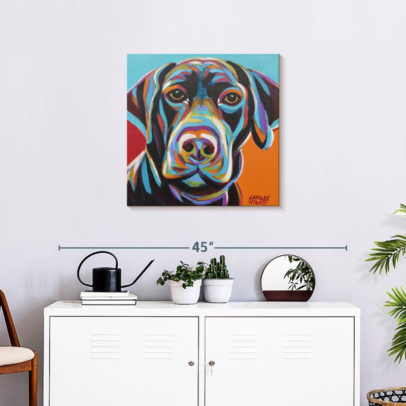 Brampt Dog Friend II, H 24 po x l 24 po