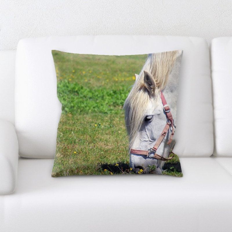 Coussin cheval