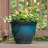 17.5" Kittredge Planter With Wheels, Aqua, 2-pack