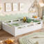 Lit plateforme double pleine grandeur avec garde-corps pleine longueur, base de lit grand profil bas avec support en lattes de bois, sans sommier tapissier, blanc-879837090-879837088