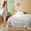 Draps en percale doux-110115377