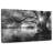 Harnek Sunlight Through Tree-107677730
