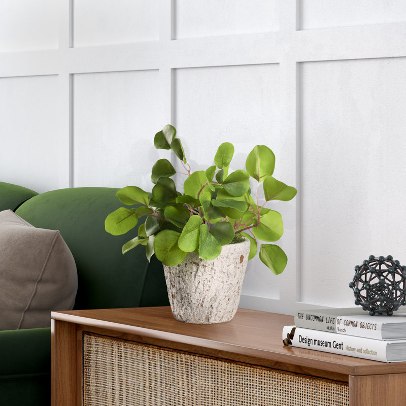 12'' Faux Eucalyptus Plant in Oak Wood Planter