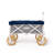Folding Beach Cart-118191491