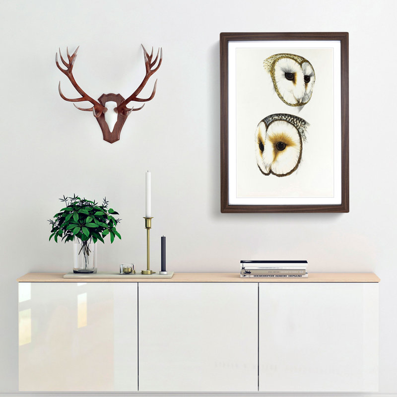 Illustration of Two Owls by John Gould - Picture Frame Painting Print, 65cm H x 48cm W x 2cm D, Walnut Framed