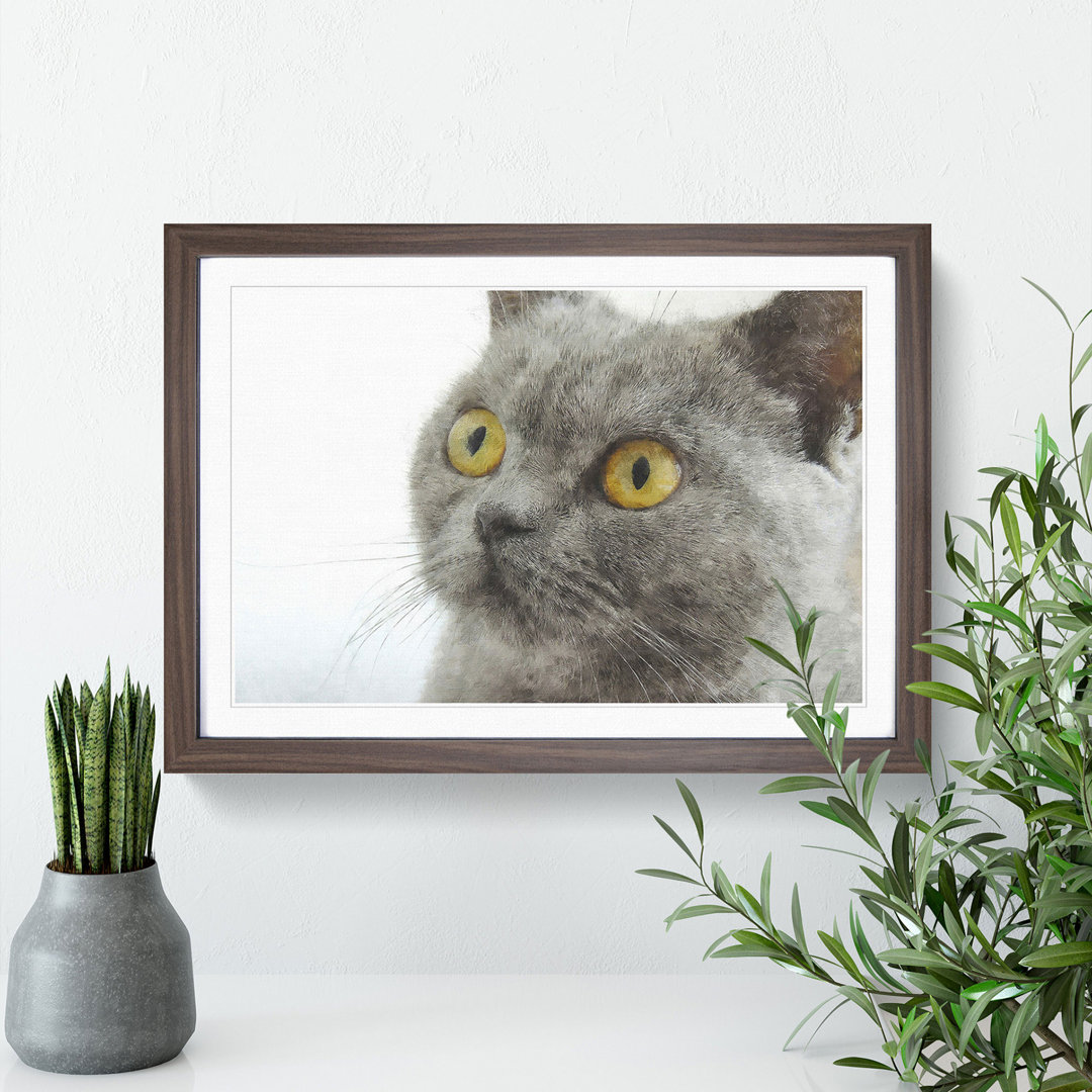 British Shorthair Cat Vol.5 - Picture Frame Painting
