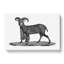 Goat Illustration - Wrapped Canvas Print-55366084