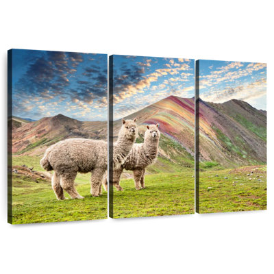 Brampt Colours Of Peru - Palcoyo Alpacas