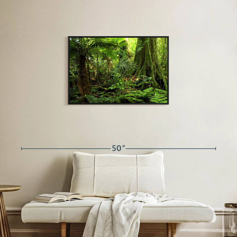 Jungle Ferns Forest, 31 po x 21 po, Cadre flottant noir