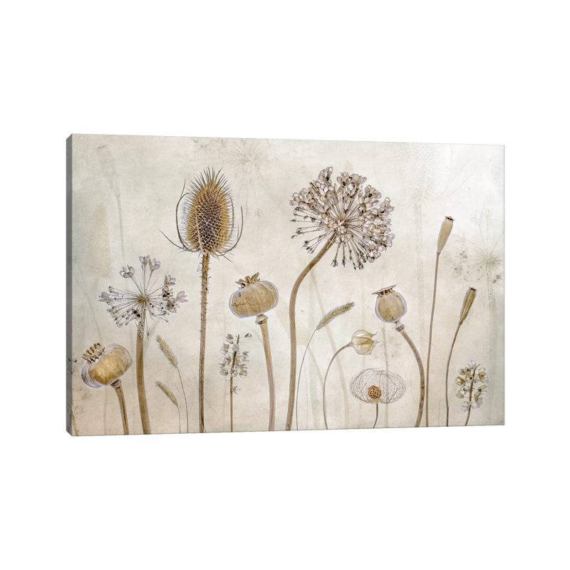 Growing Old by Mandy Disher - Print on Canvas, Wrapped Canvas, 20.32cm H x 30.48cm W x 1.91cm D