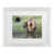 White Framed is unavailable