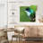Crowle Starthroat Hummingbird-109395427