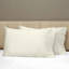 Raffaello Sateen Pillow Case-36504359-47958235