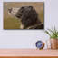 «Dog Wander» par John Silver-26152025