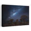 «Milky Way Over Quiver Trees Serene Tranquil Abstract Forest Landscape», art mural-129007274