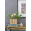 Timber Wavy Rect Degroot