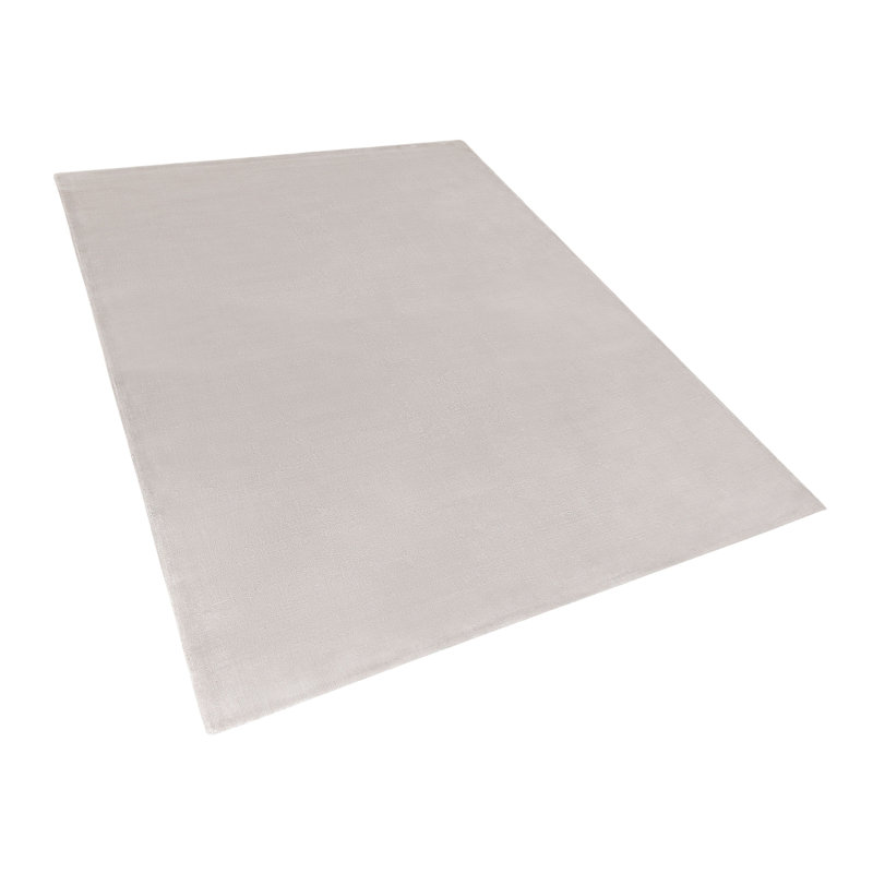 Godinne Viscose Hand Woven Area Rug, Rectangle 200 x 300cm