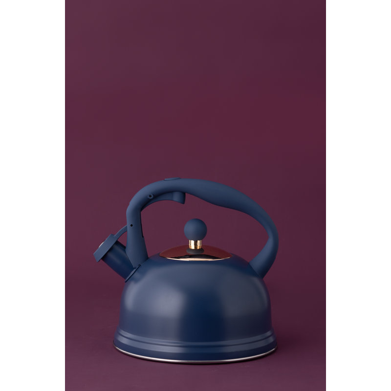 Living 2L Stainless Steel Whistling Stovetop Kettle, Navy Blue