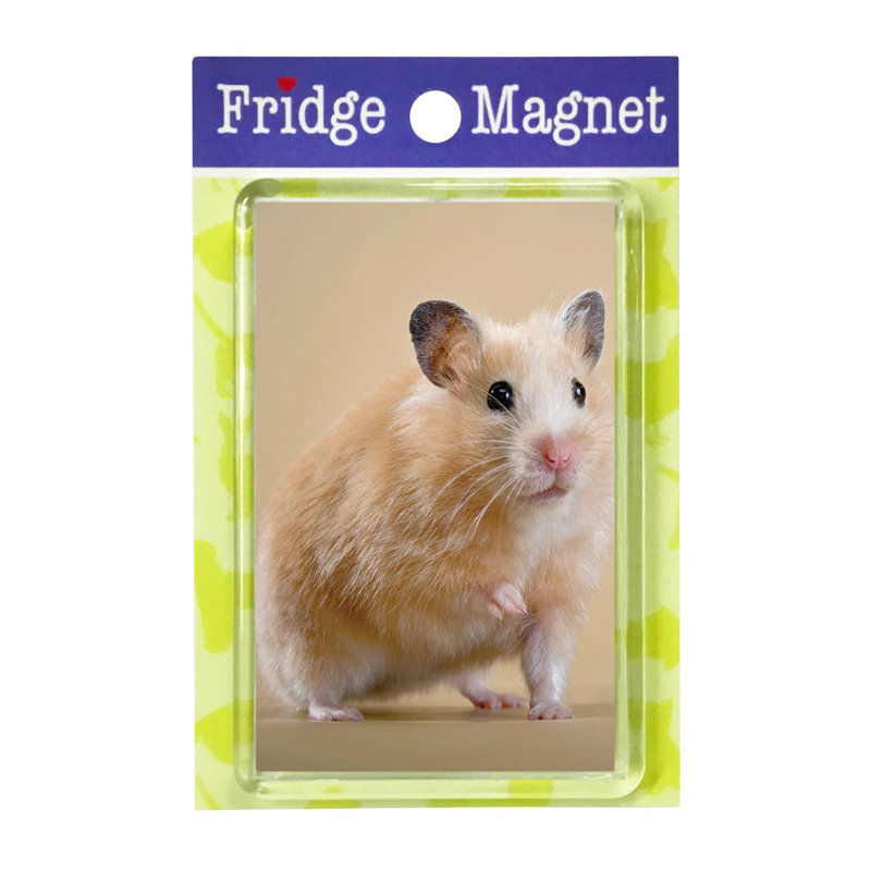 Fridge Magnet