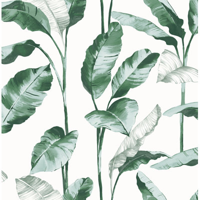 Sophany Leaves
