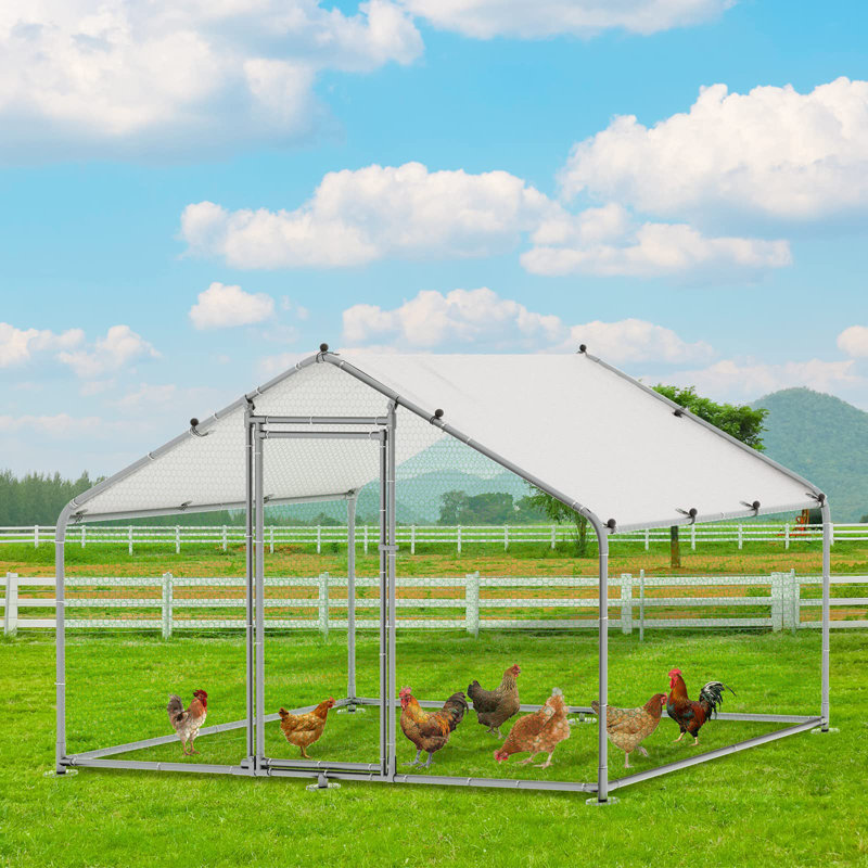Chiriac Walk in Chicken Run avec grillage métallique, H 78,7 po x l 118 po x P 157,4 po