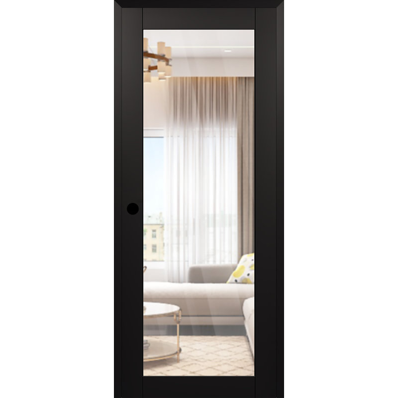 Intérieur en verre transparent Lite Lite Avon, 29,75 po x 95,24 po, Noir mat, Oui