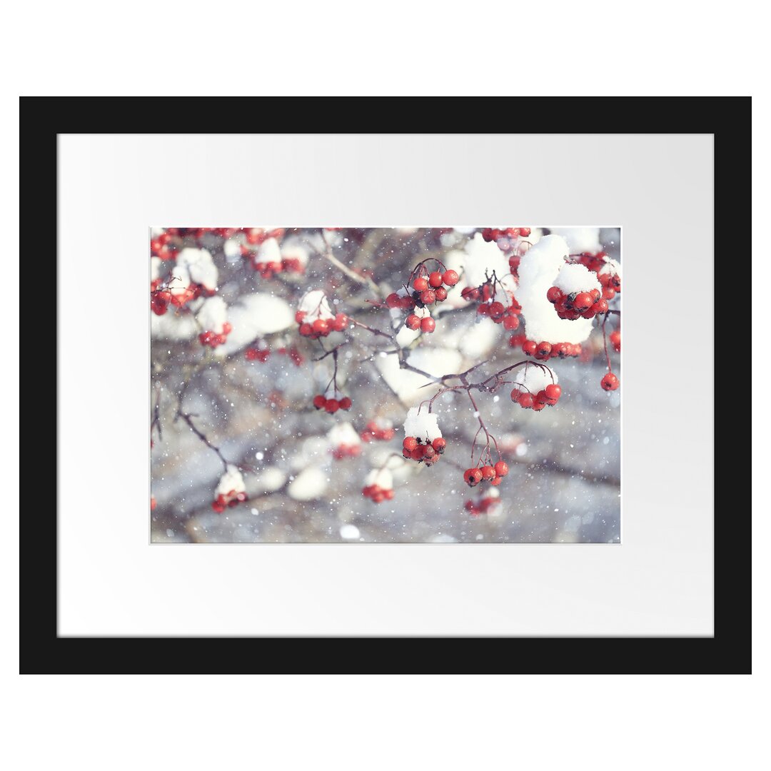 Gerahmtes Poster Vogelbeeren mit Schnee bedeckt