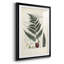 Collected Ferns VI " Collected Ferns VI " 3 - Pieces-69983013-69983015