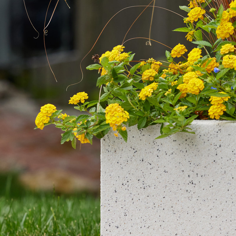 Argentine Trough Planter, White Granite