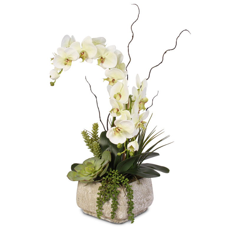 Agencement floral en soie phalaenopsis avec plantes grasses dans un pot en céramique
