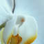 Print on Canvas-25522721