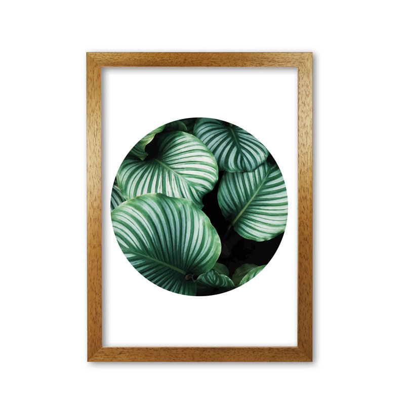 Leaves Circle - Print, Honey Oak Frame, 42 cm H x 30 cm W x 5 cm D