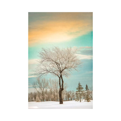Lonely Tree Covered By Snow by Nik Rave - Wrapped Canvas Gallery-Wrapped Canvas Giclée