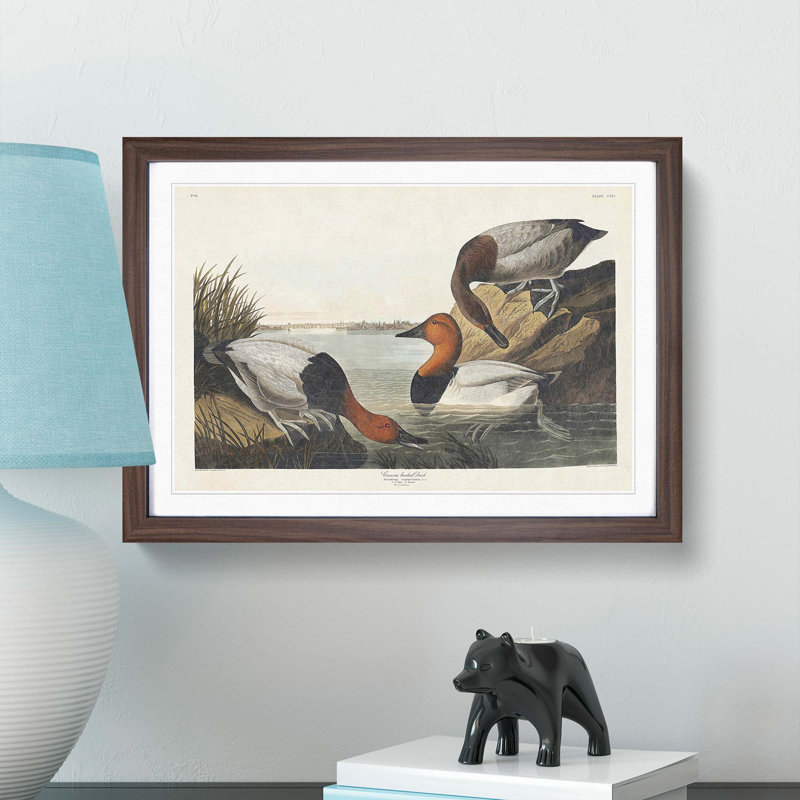 Canvas Backed Ducks by John Audubon - Picture Frame Painting Print, Walnut Framed, 27cm H x 36cm W x 2cm D