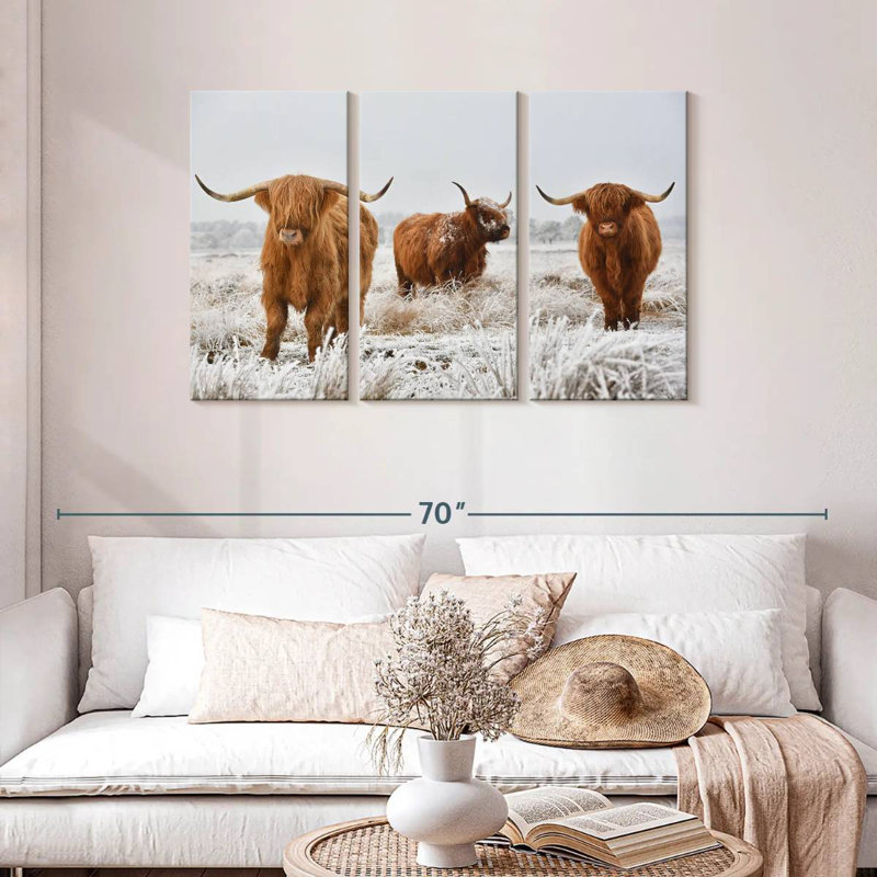 Trois vaches Highland, H 28 po x l 45 po