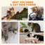 Cameron Cat Tree with Scratching Post for Indoor Kittens-16583920