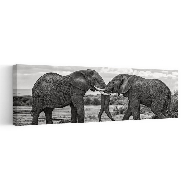 Elephants Gently Touching by Xavier Ortega - Wrapped Canvas Panoramic Print, 91.44 cm H x 30.48 cm W