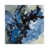 Canvas selected