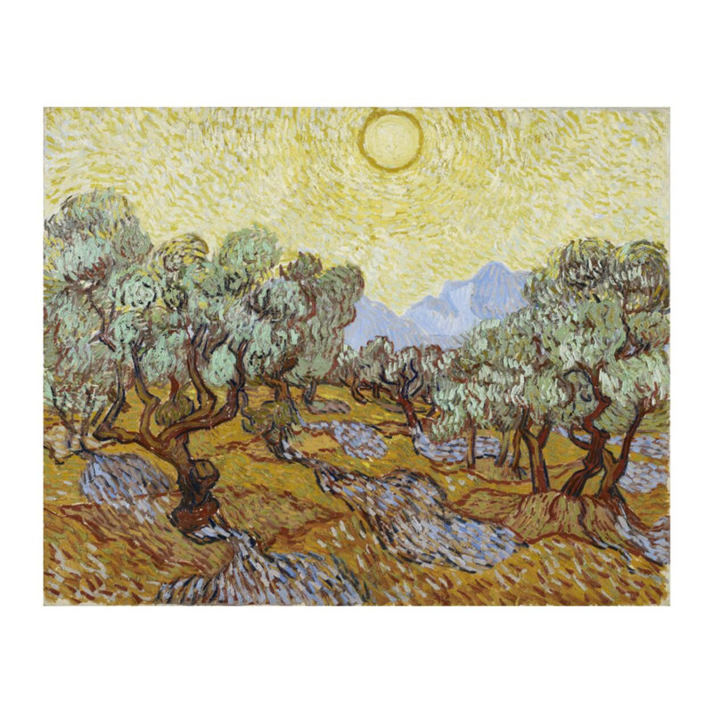 Olive Trees by Vincent van Gogh - Giclee Print, 16" H x 20" W
