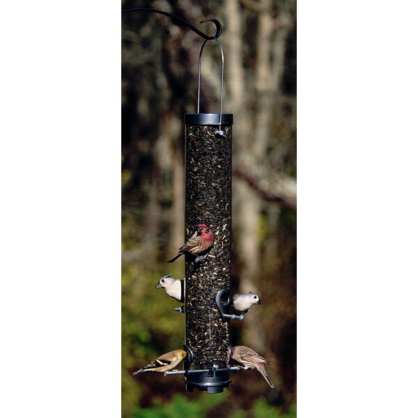 Droll Yankees, Inc Classic Sunflower/Mixed Seed Tube Bird Feeder | Wayfair