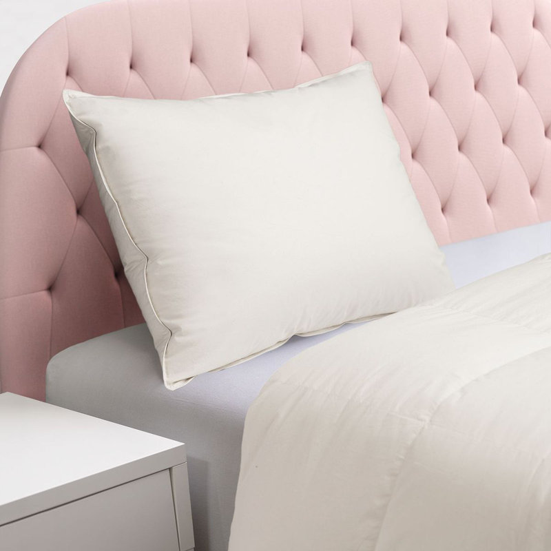 Jumbo Organic Cotton Prime Feather Pillow
