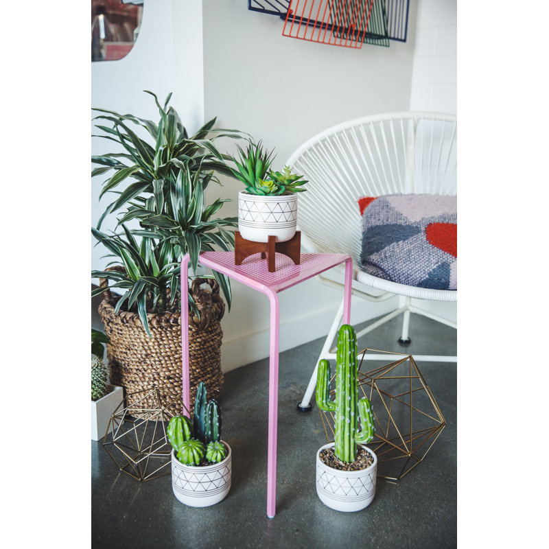 Plante grasse artificielle en pot 11,5 po