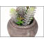 Ensemble de 2 plantes succulentes artificielles en pots de ciment brun, 20 cm de hauteur, parfaites pour une décoration moderne et contemporaine.