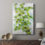 Lierre - galerie Cavas sur mesure-672359829