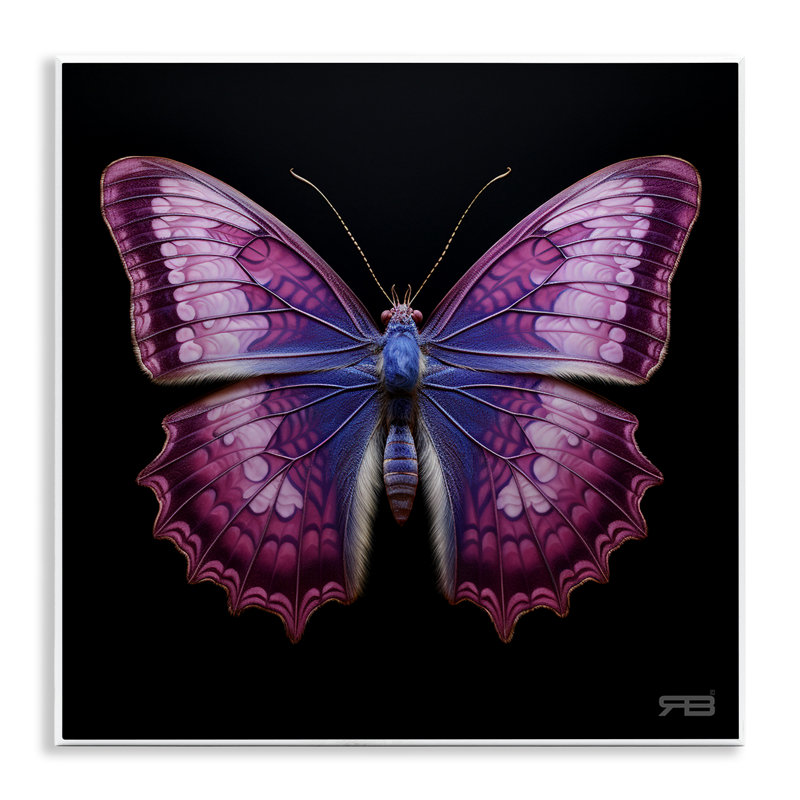 Art mural vif par mauve papillon par Roozbeh Bahramali