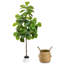 Arbre de figuier luxueux de 70 po avec feuilles brillantes denses, ficus lyrata réaliste, arbre artificiel en pot pour salon, coin bureau-129655613